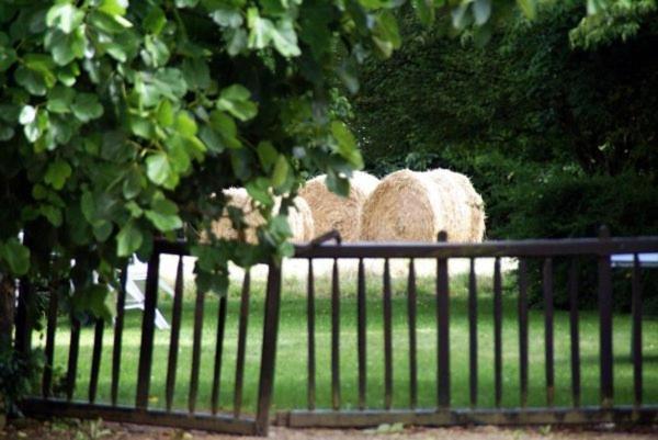 Les Pieds Dans L'Herbe Rosporden Zewnętrze zdjęcie